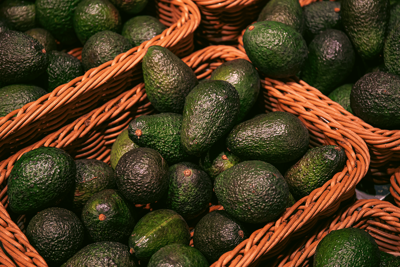 Borabu Avocado Farmers